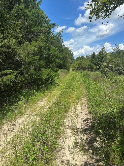 0 Chestnut Dr, Caldwell, TX, 77836 | Card Image