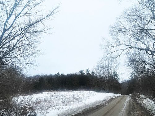 430 Beaver Road, Trent Hills, ON, K0K1L0 | Card Image