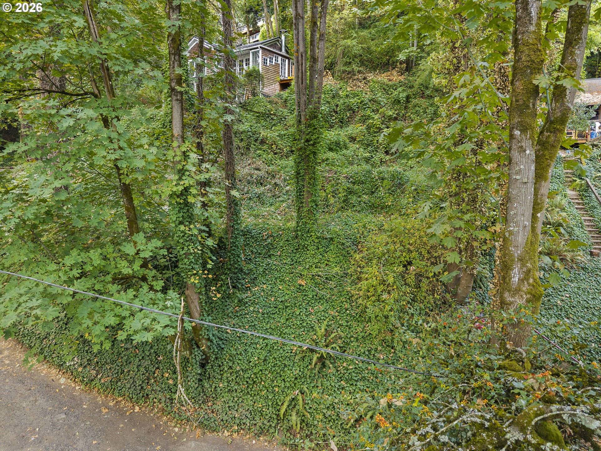 Land in Portland 5