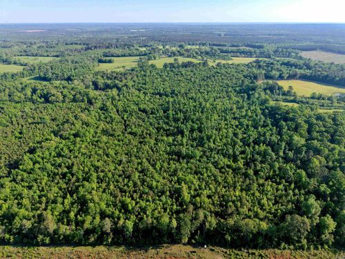 000 Nevada 107, Rosston, AR, 71858 | Card Image