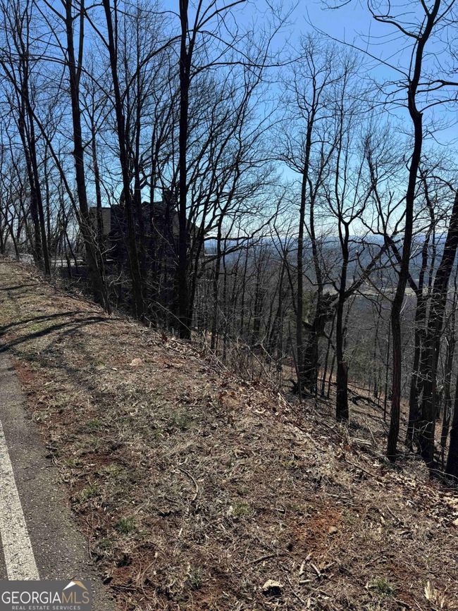 7349 Starlight Ln, Home with 0 bedrooms, 0 bathrooms and null parking in Jasper GA | Image 12