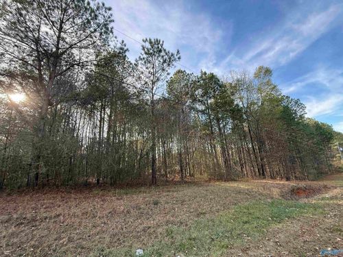 Lot 19 Sweetwater Ln, Rainbow City, AL, 35906-8661 | Card Image