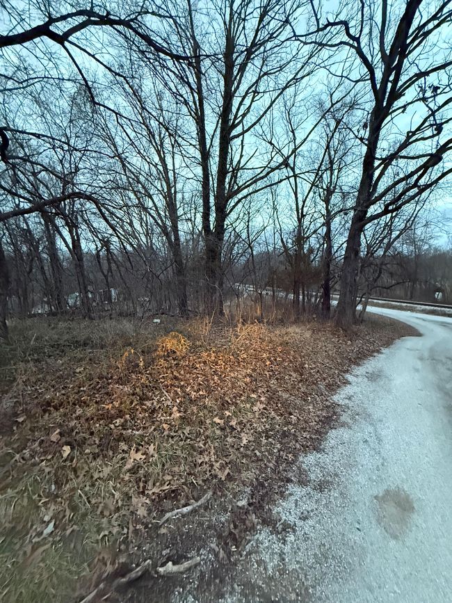 7 | Image 10