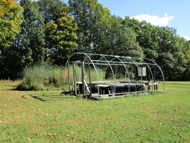 Greenhouse | Image 13