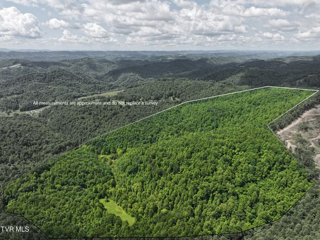 000 Goode Hollow Rd, Home with 0 bedrooms, 0 bathrooms and null parking in Duffield VA | Image 24