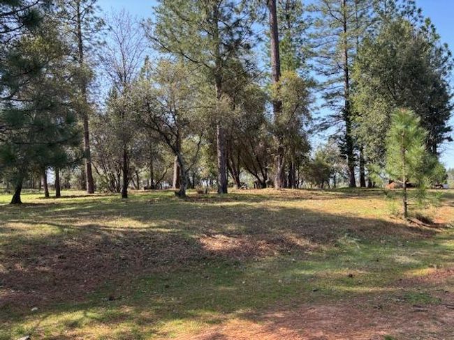 19292 Shawnee Trl, Home with 0 bedrooms, 0 bathrooms and null parking in Mokelumne Hill CA | Image 68