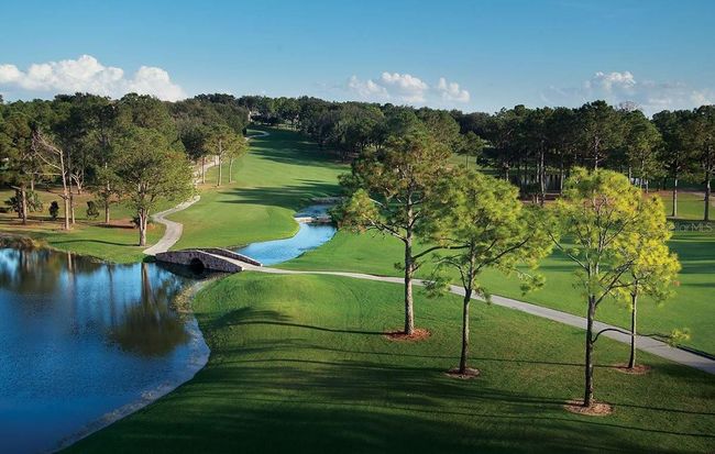 El Campeon Golf Course | Image 41