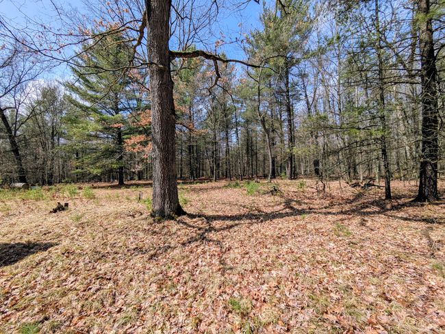 630 Ivy Ln, House other with 2 bedrooms, 1 bathrooms and null parking in Marion MI | Image 4
