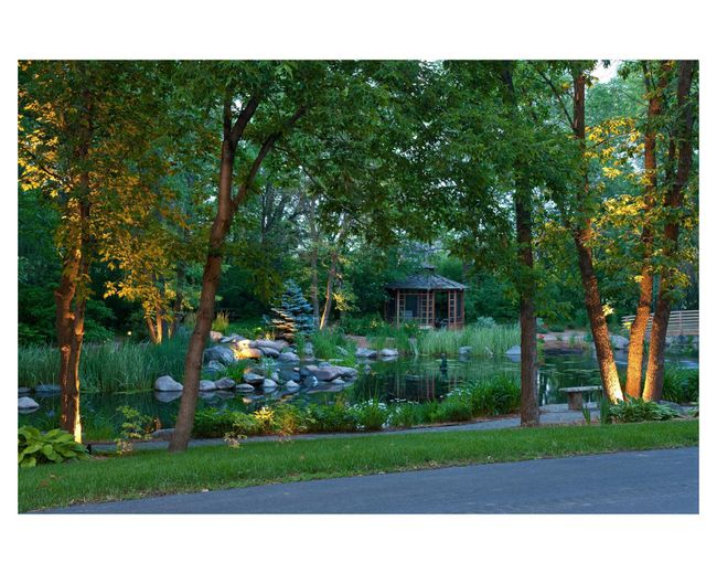 Frog Pond | Image 128