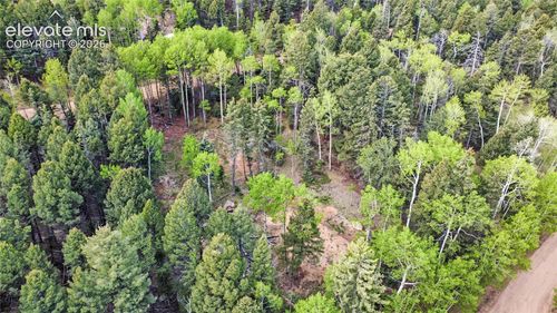 714 Will Stutley Dr, Divide, CO, 80814-9207 | Card Image