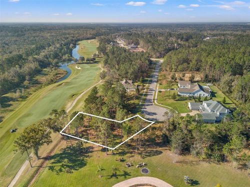 20132 English Walnut Pl, BROOKSVILLE, FL, 34601-6555 | Card Image