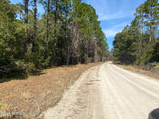 103 Dolphin Dr, Home with 0 bedrooms, 0 bathrooms and null parking in GEORGETOWN FL | Image 5