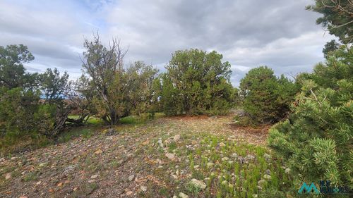 62-21 Wagon Circle, Quemado, NM, 87829 | Card Image