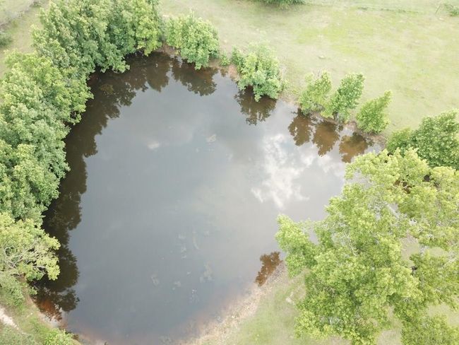 2416 State Highway 87 N, House other with 3 bedrooms, 2 bathrooms and null parking in Newton TX | Image 6