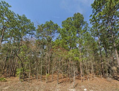TBD Sw 128th Terrace Rd, OCALA, FL, 34481 | Card Image