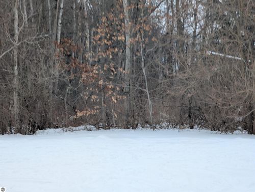 N/A N Court St, Au Gres, MI, 48703 | Card Image