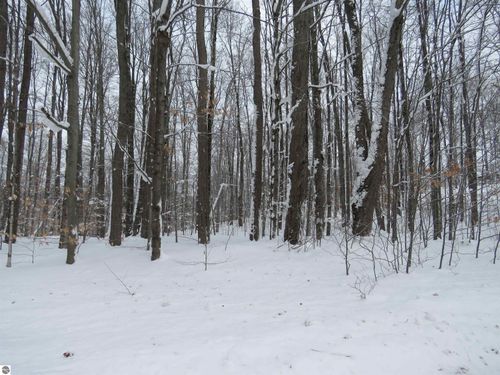 0 W 38 Road, Harrietta, MI, 49638 | Card Image