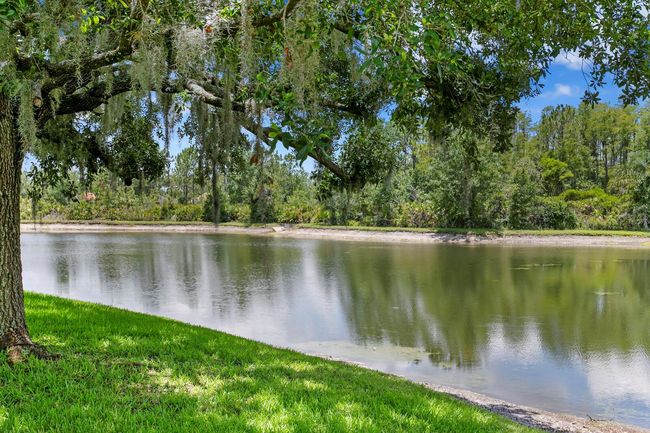 17807 Arbor Greene Dr, House other with 5 bedrooms, 3 bathrooms and null parking in TAMPA FL | Image 67