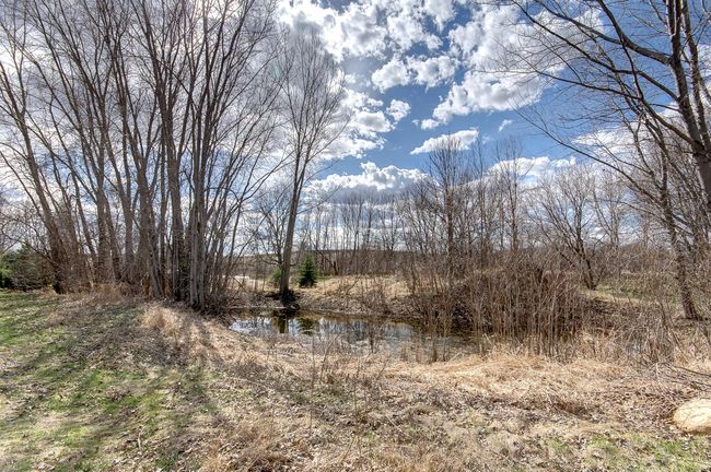 Pond | Image 65