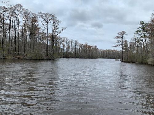 238 Plumtree Cir, Edenton, NC, 27932 | Card Image