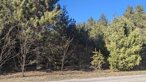 0 10th St N, Bear Lake, MI, 49614 | Card Image