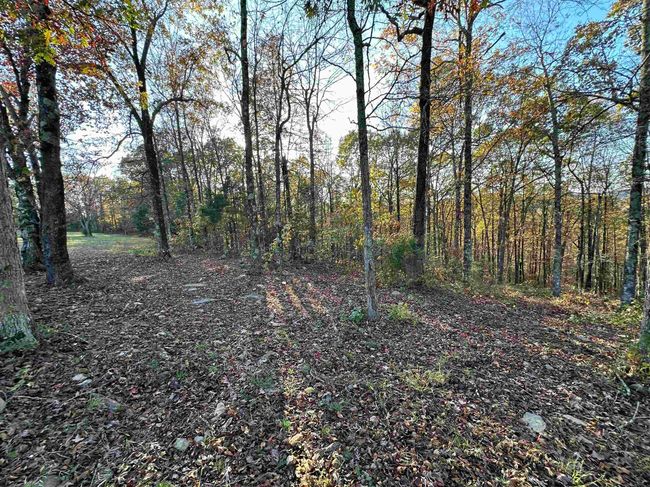 8997 Highway 9, House other with 2 bedrooms, 2 bathrooms and null parking in Mountain View AR | Image 40