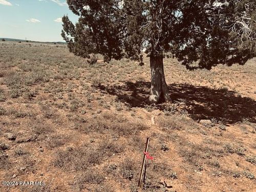 28581 W Hondo Rd, Seligman, AZ, 86337 | Card Image
