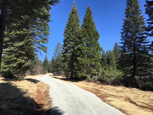 Land in Nevada City 3