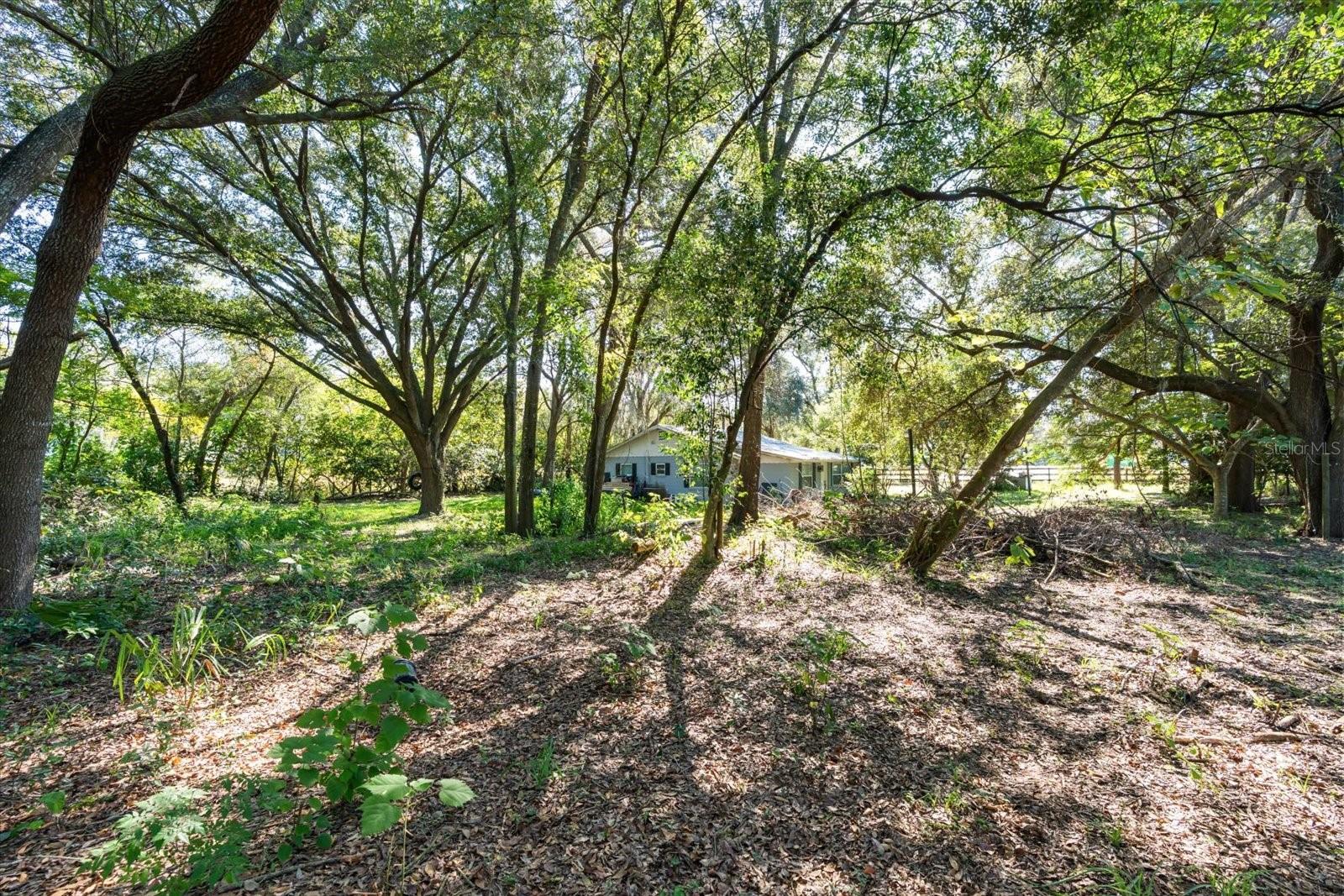 Land in MOUNT DORA 4