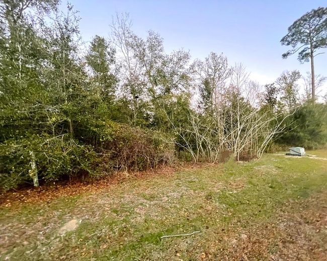 7 Seven Springs Dr, Home with 0 bedrooms, 0 bathrooms and null parking in Wewahitchka FL | Image 15