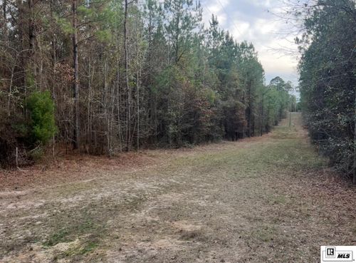 0 Longstraw Rd, Choudrant, LA, 71227 | Card Image