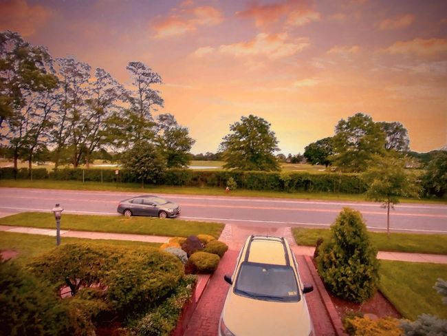 View of yard | Image 39