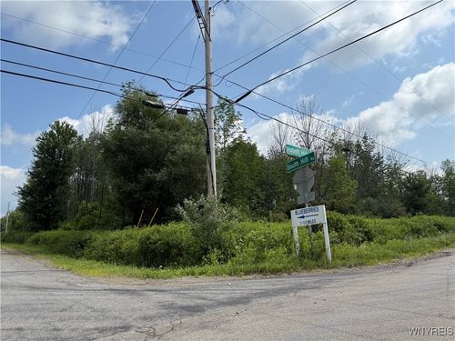 10103 E Hill Run, Springville, NY, 14141 | Card Image