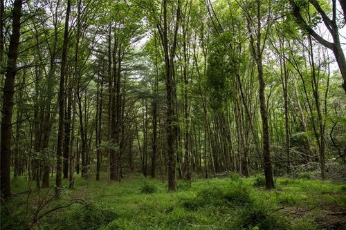 1 Chapin Trl, White Lake, NY, 12786-5804 | Card Image