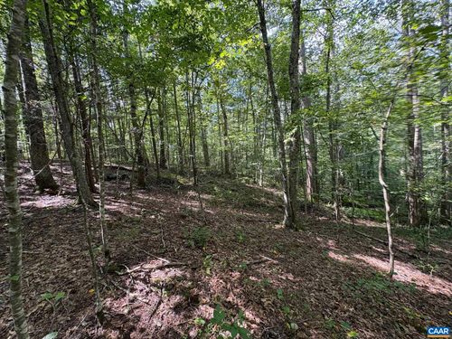 TM 23-5A Mitchell Mountain Rd, HAYWOOD, VA, 22722 | Card Image