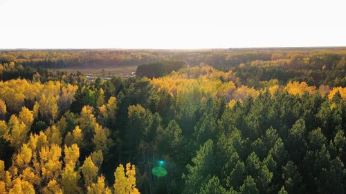 TBD40 Highway 135 N, Tower, MN, 55790 | Card Image