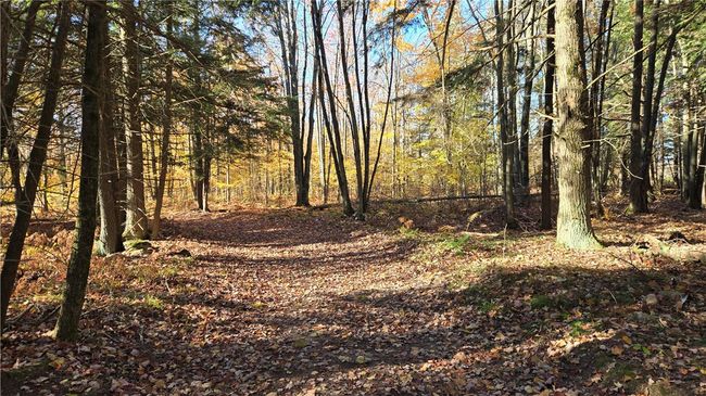 2984 N Weirgor Rd, House other with 4 bedrooms, 1 bathrooms and null parking in EXELAND WI | Image 36
