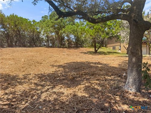 1107 High Point Ln, Spring Branch, TX, 78070-5231 | Card Image