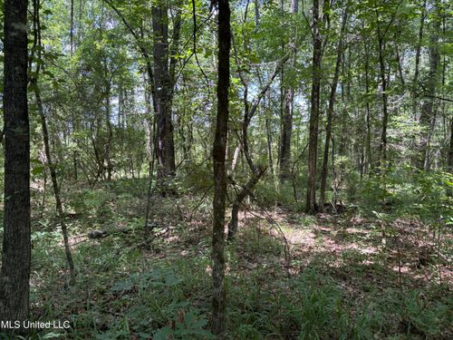 000 West Bennett Rd Country Road, Pulaski, MS, 39152 | Card Image