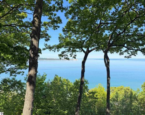 9 Ridge Top, Maple City, MI, 49664 | Card Image