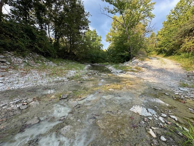 3896 Long Run Rd, Home with 3 bedrooms, 3 bathrooms and null parking in Vevay IN | Image 76