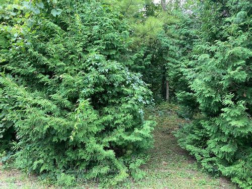 0 Pinecrest Rd, Pefferlaw, ON, L0E1N0 | Card Image