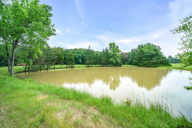 203 Private Road 3780, House other with 2 bedrooms, 2 bathrooms and null parking in Quinlan TX | Image 36