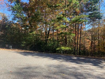 Lot 22 Snowbird Lane, Home with 0 bedrooms, 0 bathrooms and null parking in Blairsville GA | Image 3