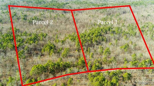 7183 County Road 5600 Parcel 2, Salem, MO, 65560 | Card Image