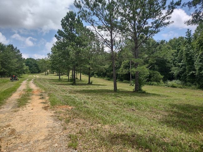 1100 Sapp Rd, House other with 3 bedrooms, 3 bathrooms and 3 parking in Dry Branch GA | Image 13