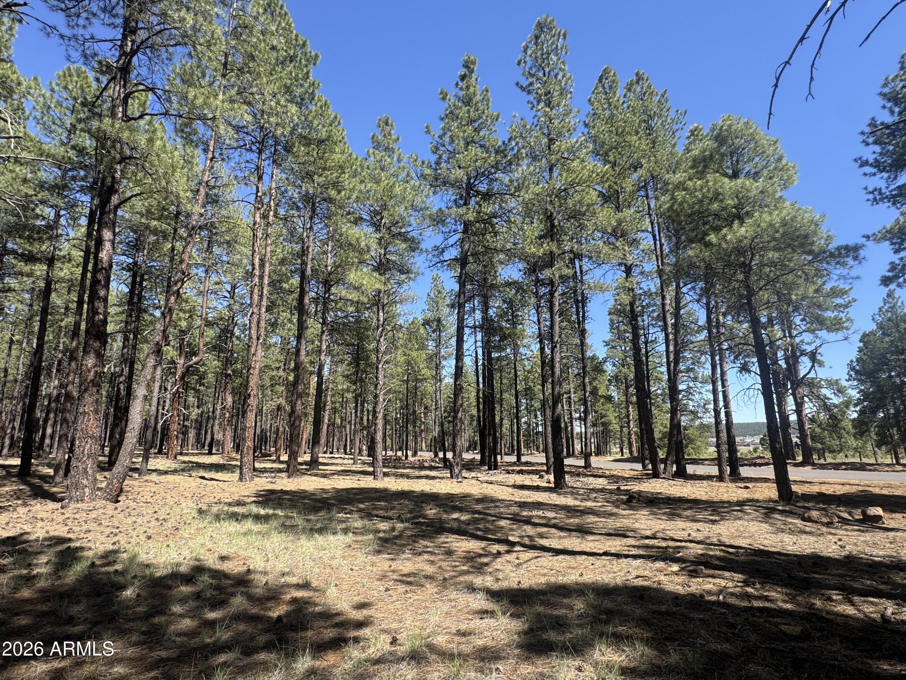 Land in Flagstaff 5