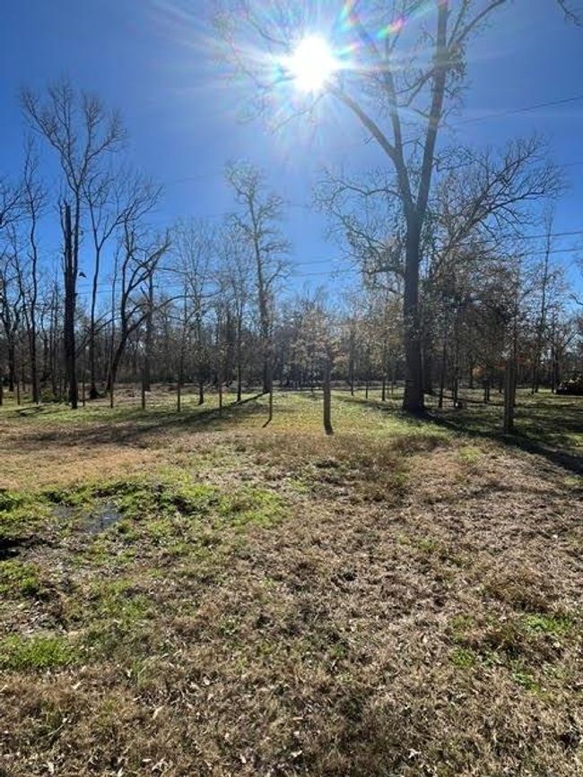 0 Mcgregor Rd, Home with 0 bedrooms, 0 bathrooms and null parking in Conroe TX | Image 10