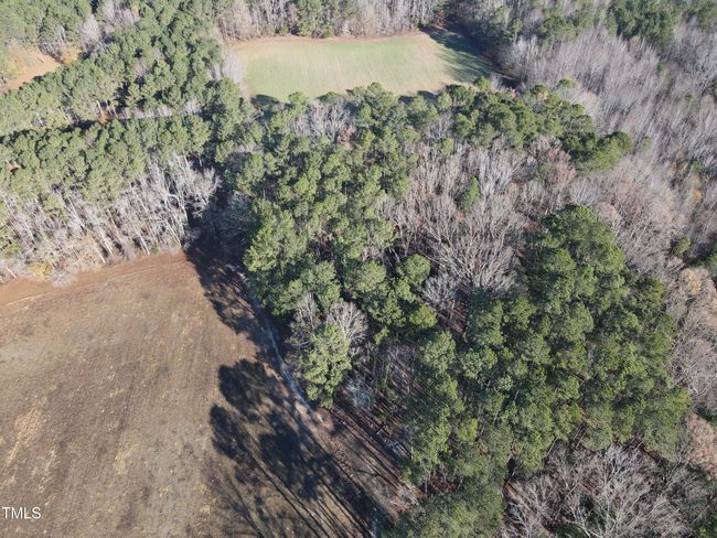 DJI_0662 | Image 12