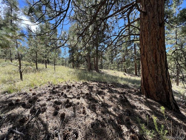 82 Kiowa Cir, Home with 0 bedrooms, 0 bathrooms and null parking in Westcliffe CO | Image 9